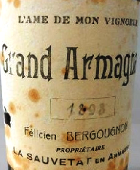 Bastides e Sauvetés